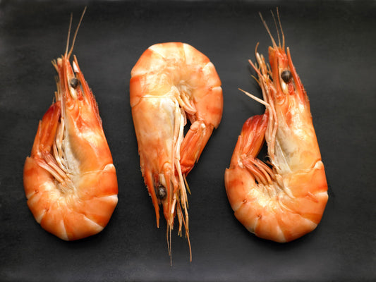 HOSO Vannemy Shrimp All Sizes